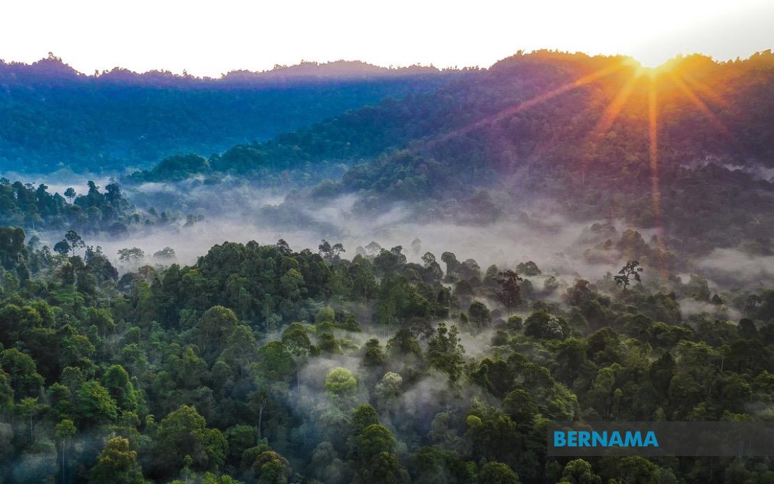 Kelantan pledges forest reserve replacements for degazetted areas