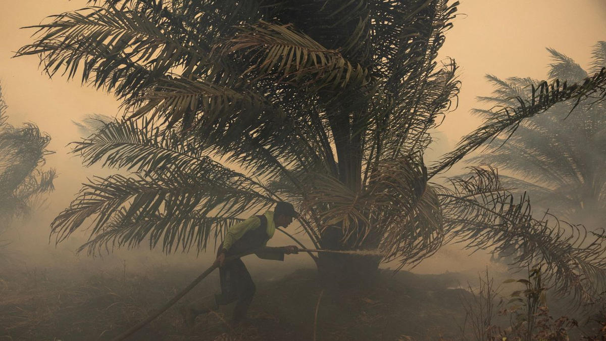 Japan Deploys Helicopters as Kalimantan Haze Crisis Escalates Beyond Critical Levels