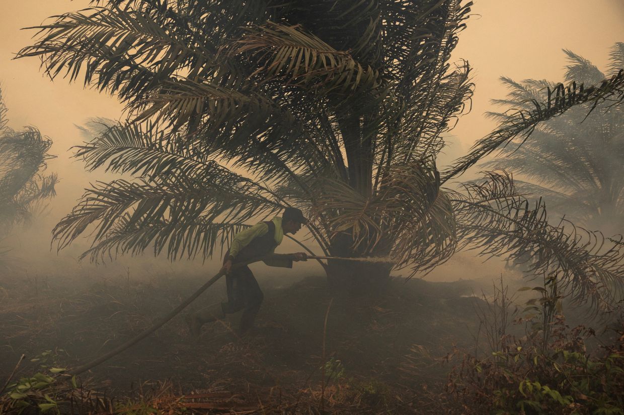 Japan Deploys Helicopters as Kalimantan Haze Crisis Escalates Beyond Critical Levels