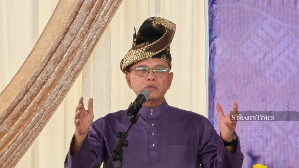 Negri Sembilan election result demonstrates voters prioritise governance over race, says Umno deputy