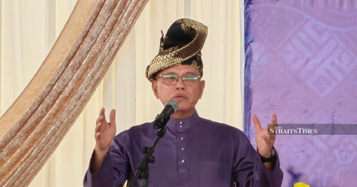Negri Sembilan election result demonstrates voters prioritise governance over race, says Umno deputy