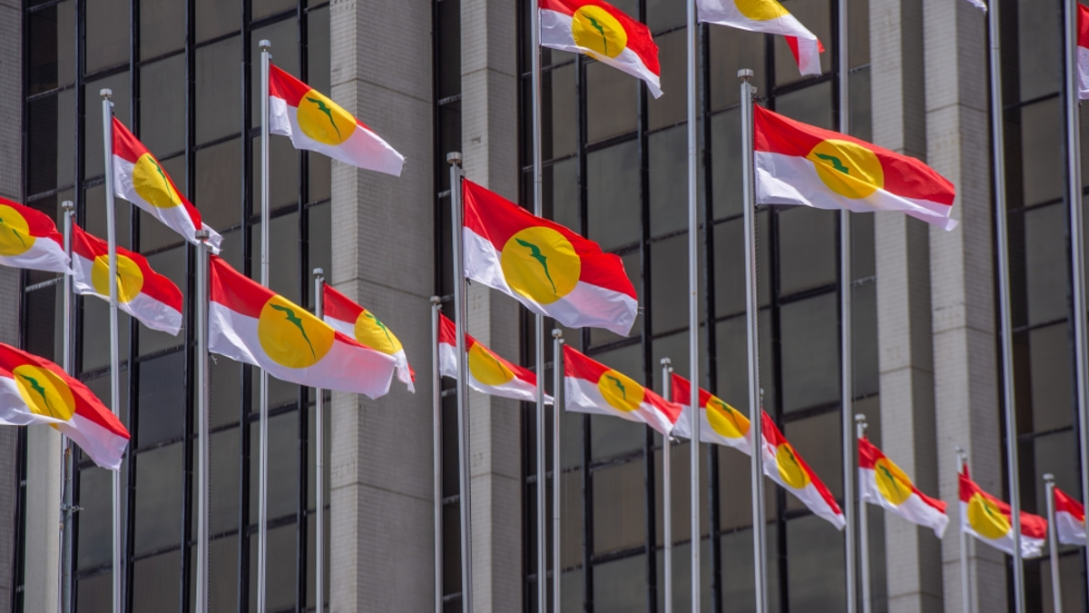 Perlis Umno Prepares Independent Campaign, Signalling Shift in Coalition Strategy