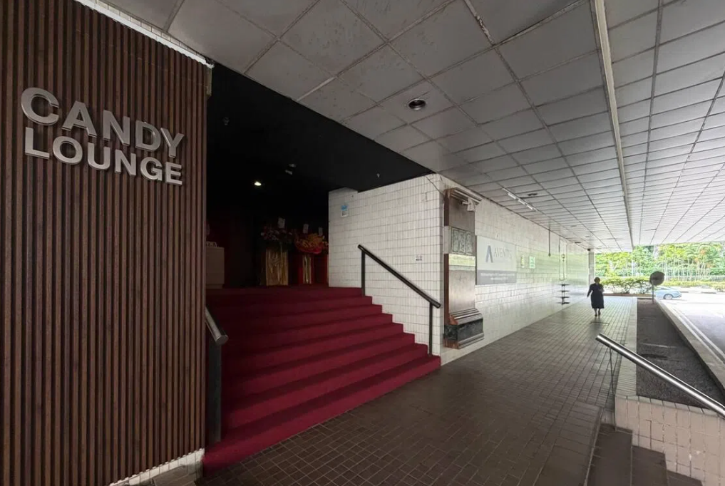 Two arrested after violent brawl outside Singapore nightclub; four hospitalised