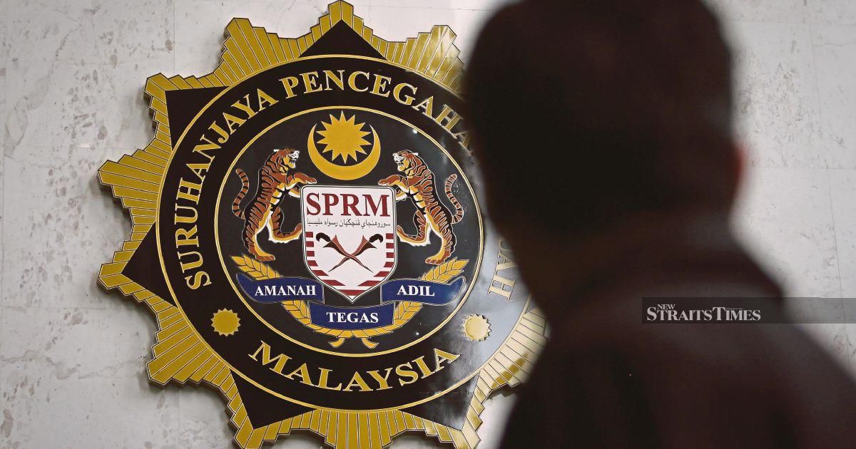 MACC Probes Felda Palong 7 Oil Palm Replanting Scheme Over Seedling Quality Concerns