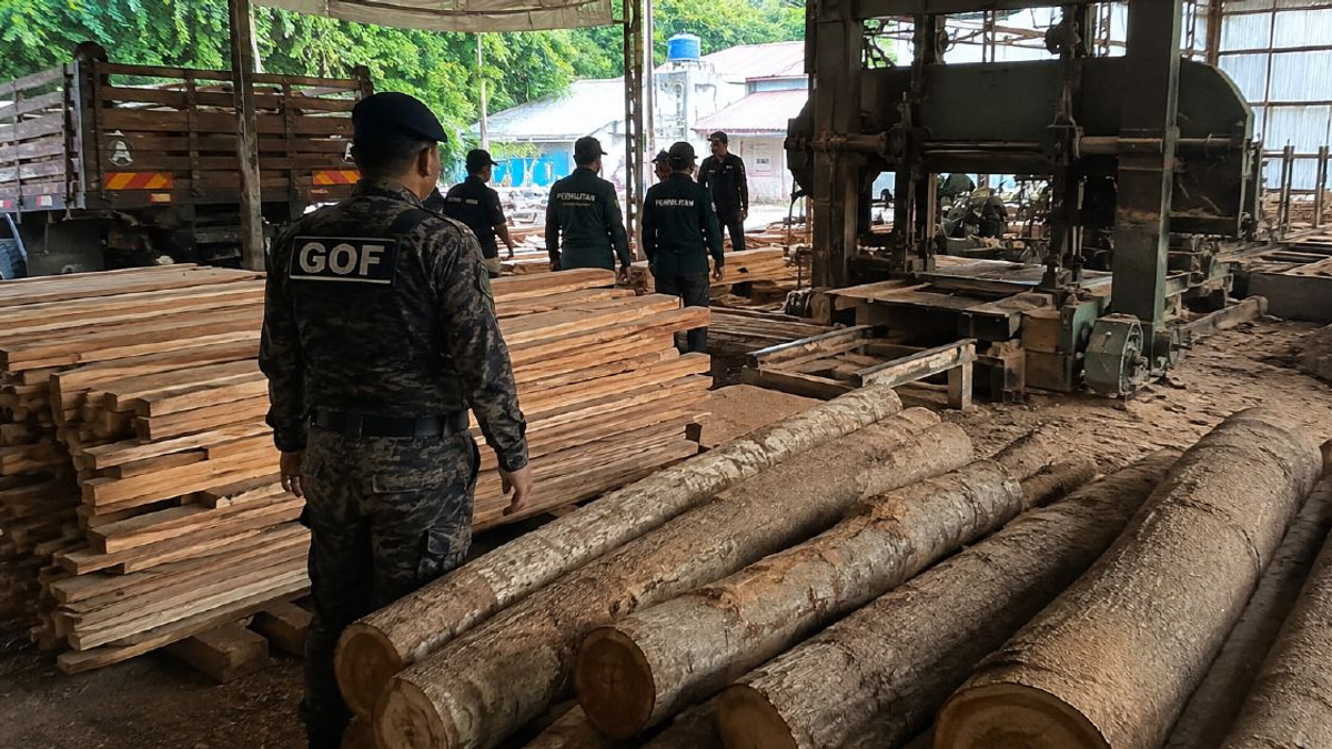 Timber and Equipment Worth RM640,510 Seized from Terengganu Sawmill