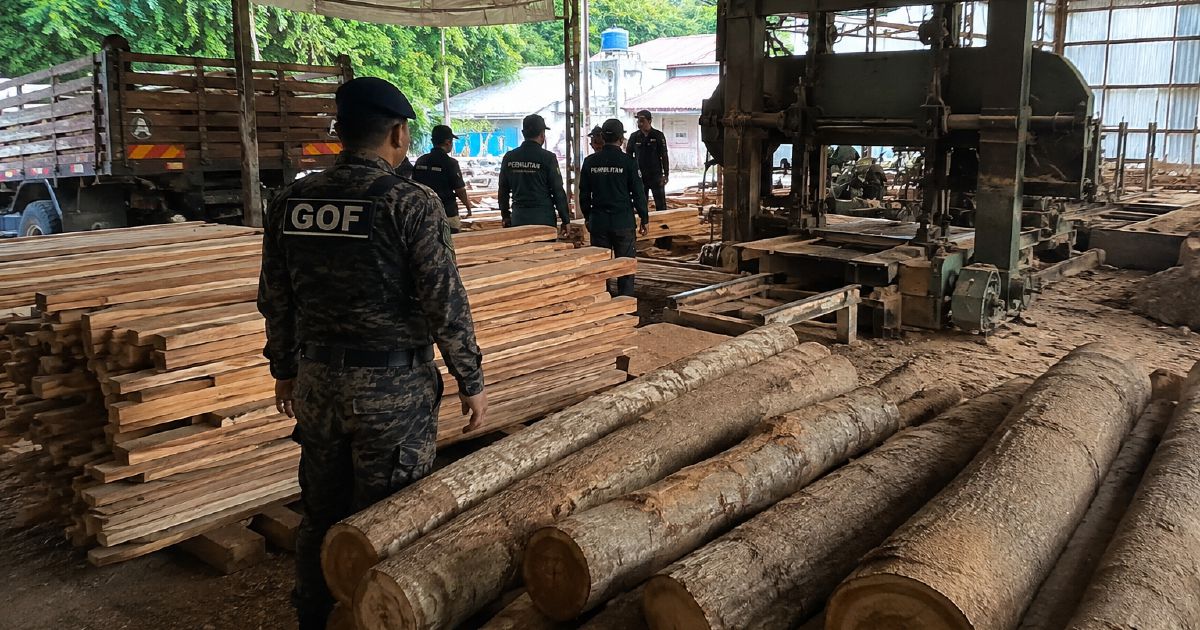 Timber and Equipment Worth RM640,510 Seized from Terengganu Sawmill
