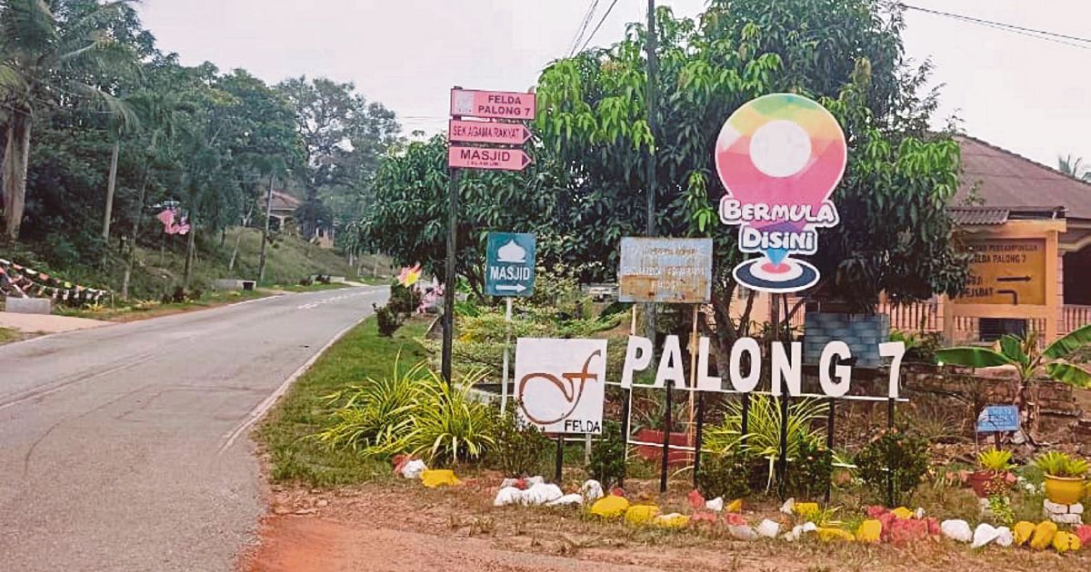 Anti-Corruption Agency Scrutinises Felda Palong 7 Palm Replanting Project Over RM80 Million Irregularities