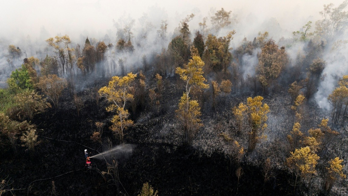Singkawang Airport Shuts Down as Kalimantan Fires Choke Region with Hazardous Haze