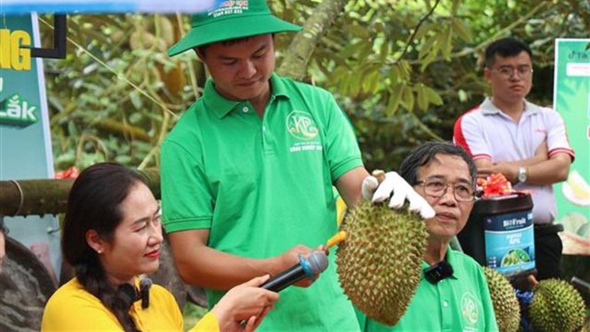 Vietnam's Durian Boom Tests Integrity of Export Certification System
