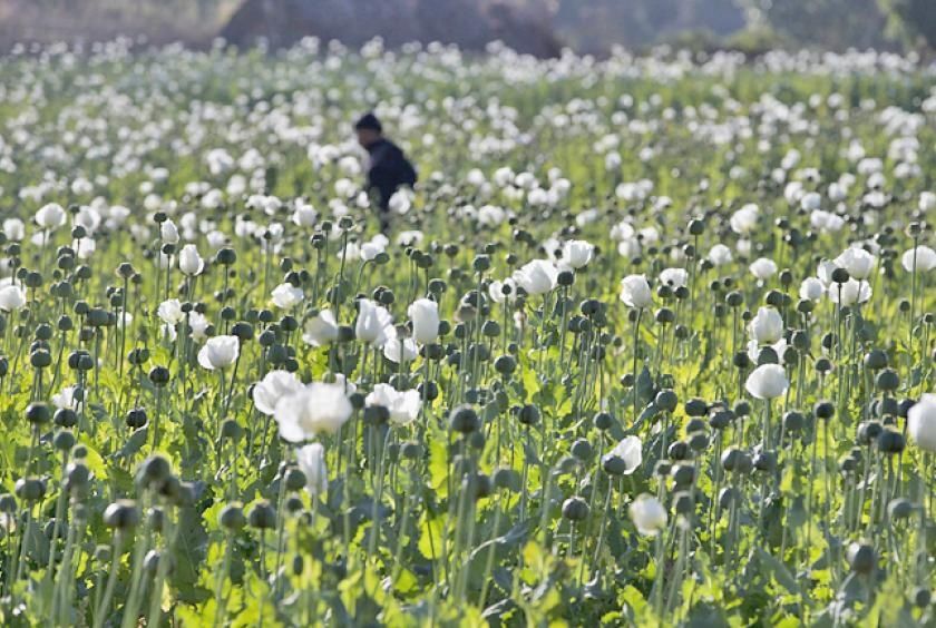 Myanmar Police Seize Over 17kg of Heroin and Million Stimulant Pills in Major Drug Bust