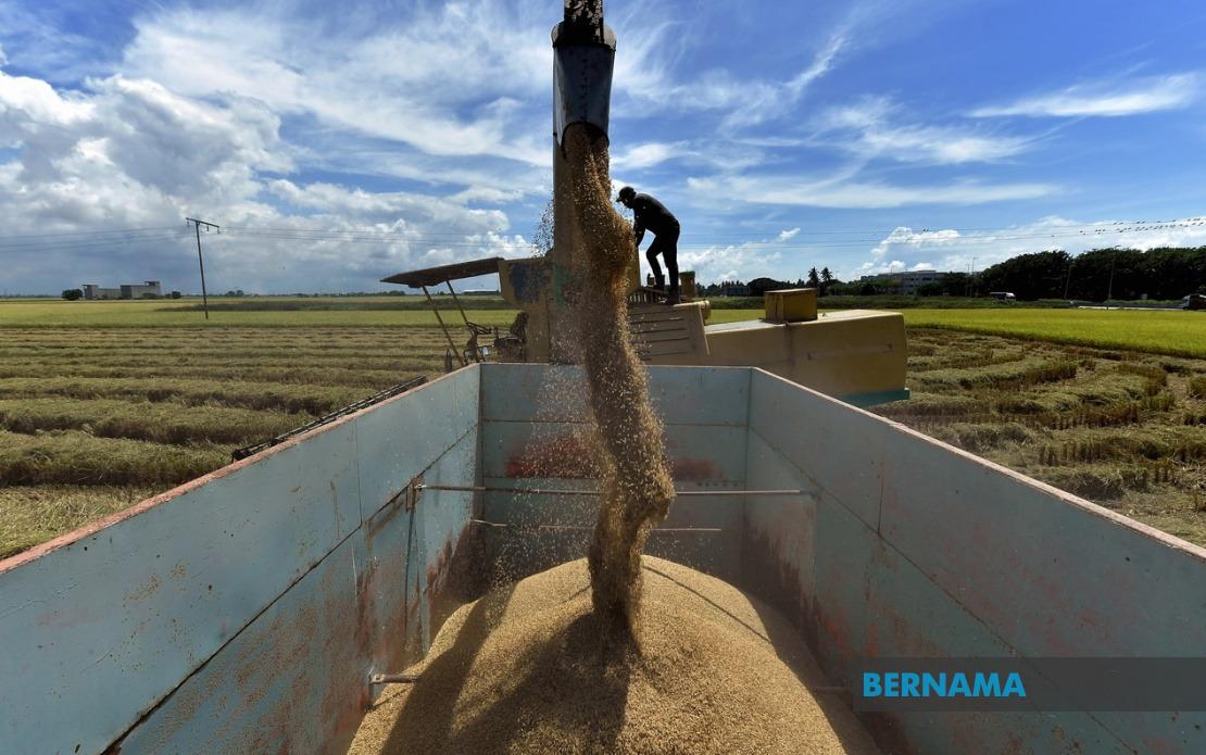 Malaysia Strengthens Rice Market Controls With Sweeping Law Amendments