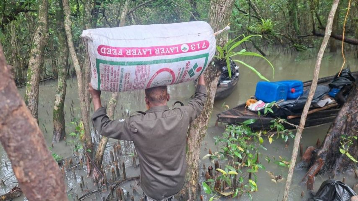 Bangladesh authorities dismantle poison-linked shrimp operation in Sundarbans World Heritage Site