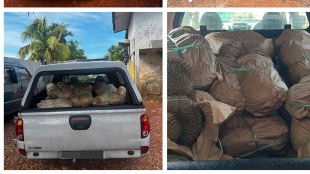 GOF Busts Smuggling Operation at Rantau Panjang, Seizes RM50,000 in Contraband Durians