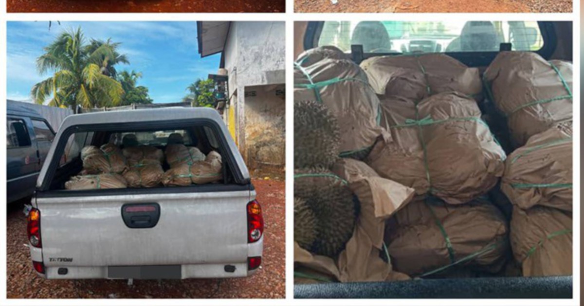 GOF Busts Smuggling Operation at Rantau Panjang, Seizes RM50,000 in Contraband Durians