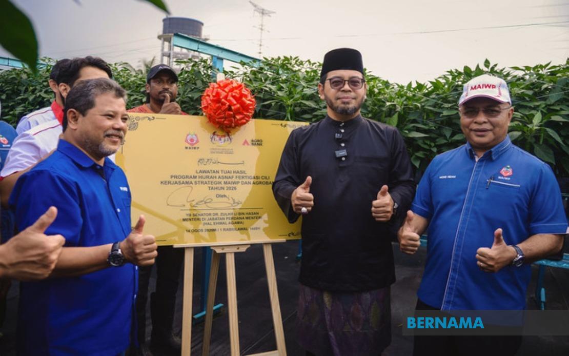 MAIWP Scales Up Asnaf Chilli Farming Initiative Across Five Acres