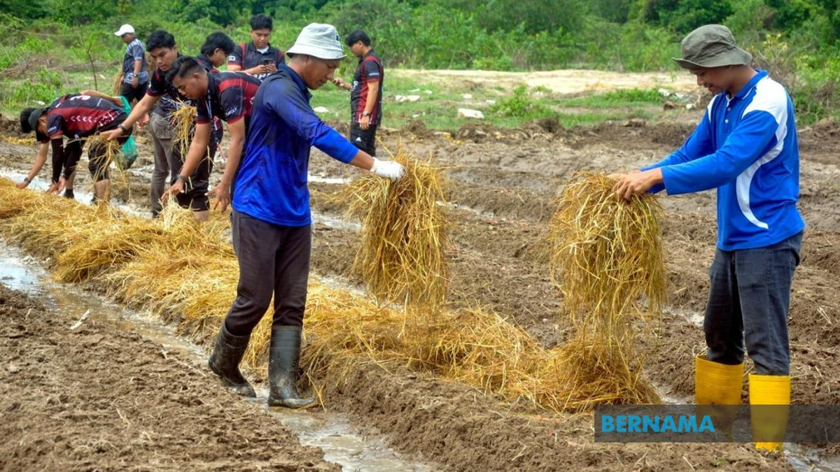 Agricultural TVET Graduate Employment Climbs to 76% as Malaysia Seeks to Boost Farm Sector Workforce