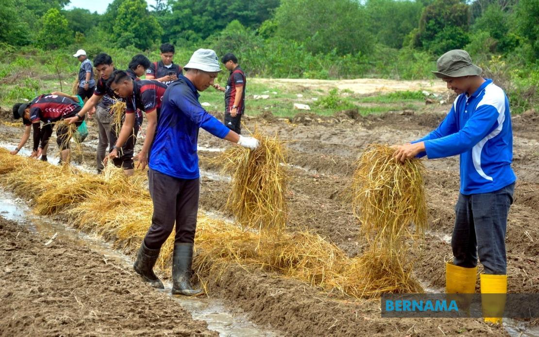 Agricultural TVET Graduate Employment Climbs to 76% as Malaysia Seeks to Boost Farm Sector Workforce