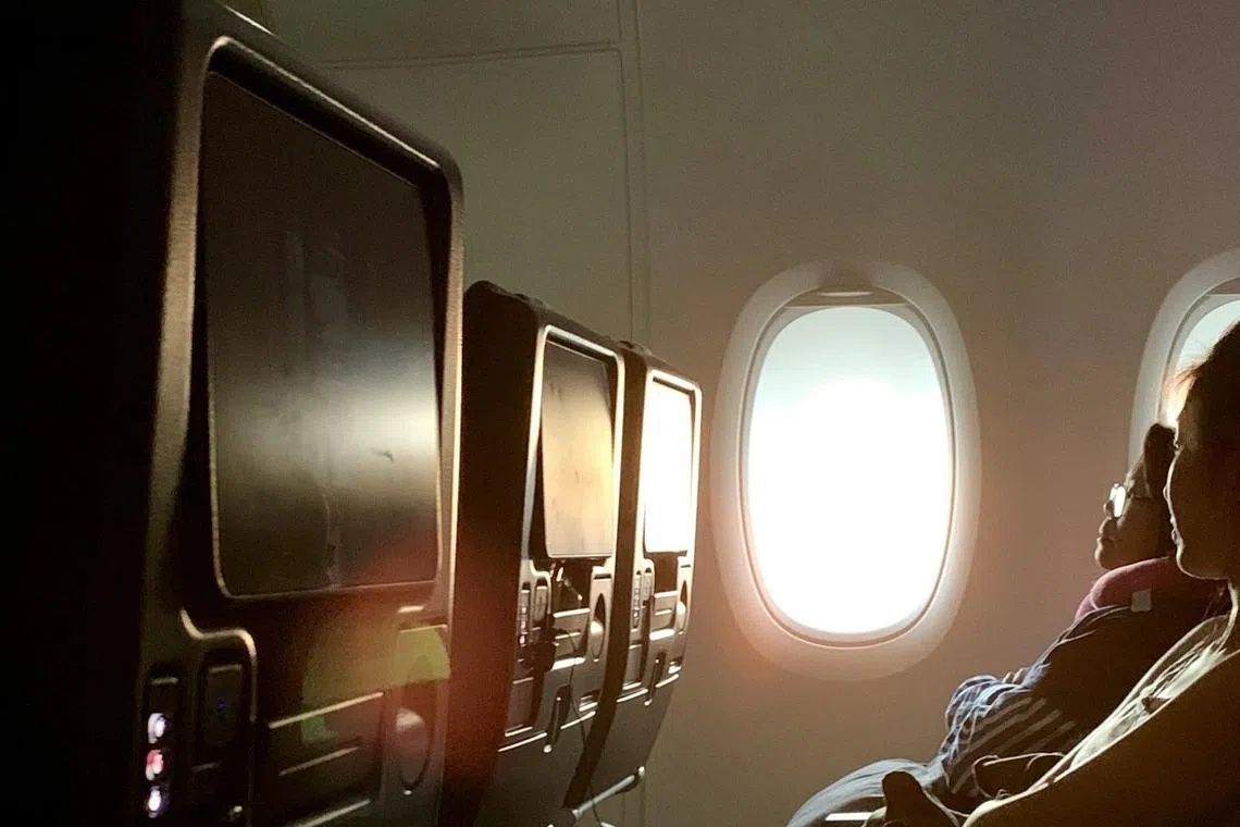 South Korean teenager demands tighter controls on in-flight entertainment after exposure to violent content