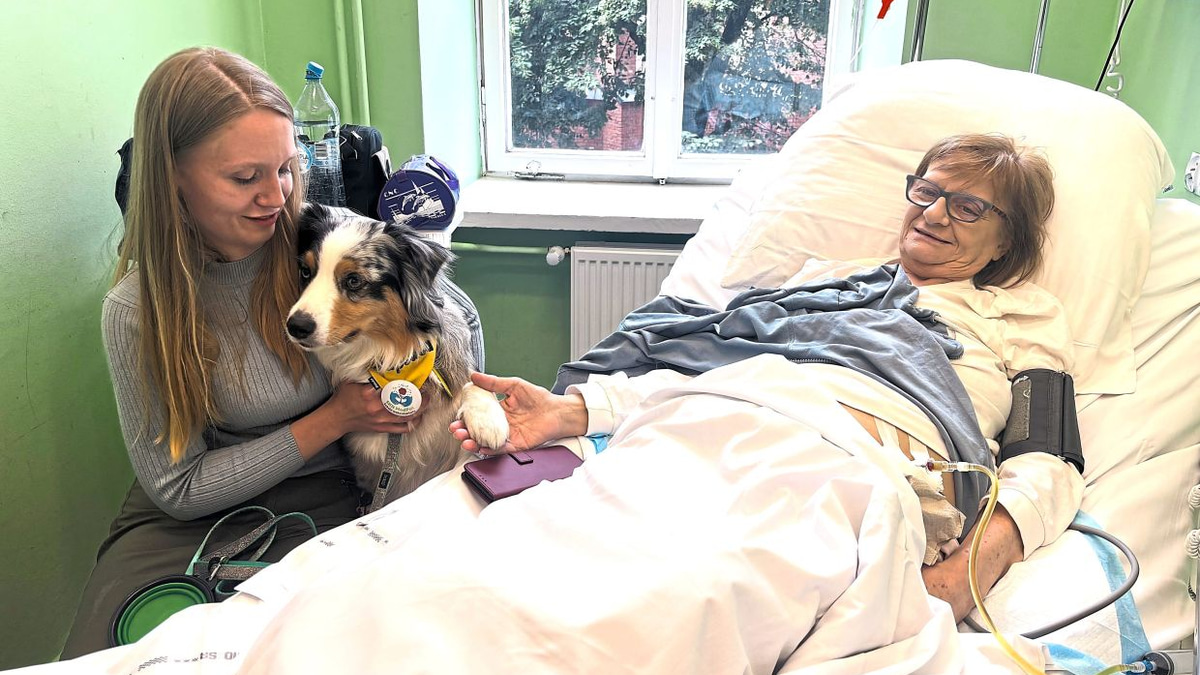 Poland Eyes Historic Shift: Dying Patients Win Right to Pet Companionship in Hospices