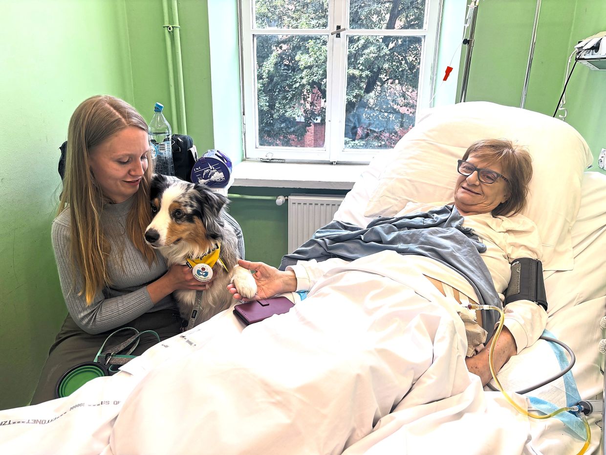 Poland Eyes Historic Shift: Dying Patients Win Right to Pet Companionship in Hospices