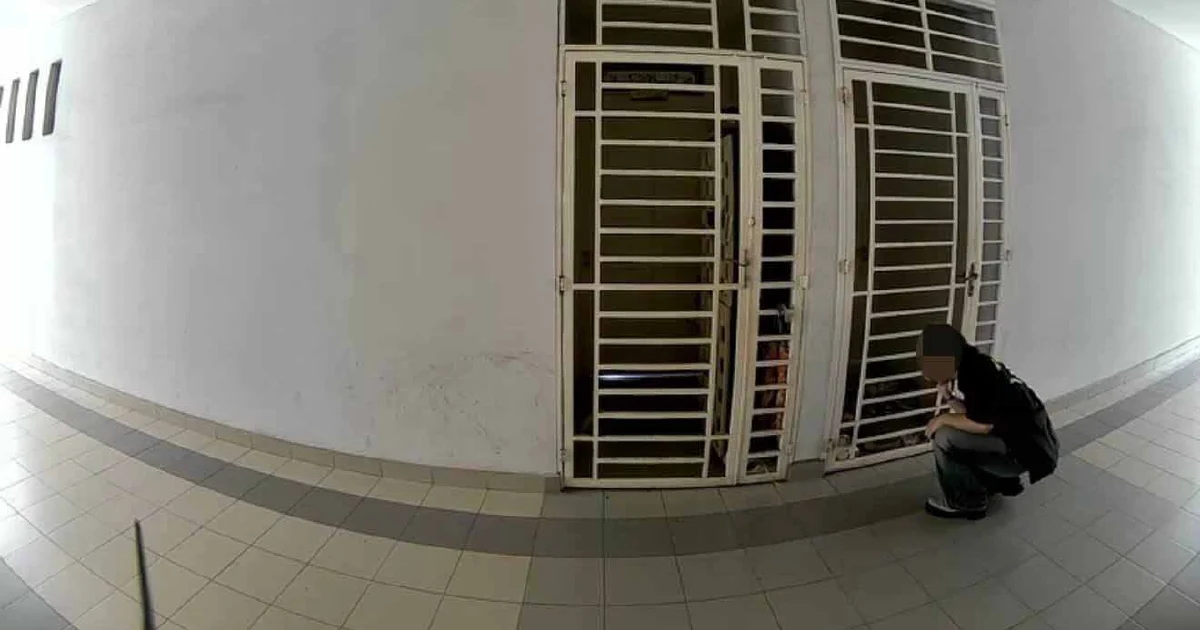 University Student Arrested Over Alleged Harassment and Stalking Campaign