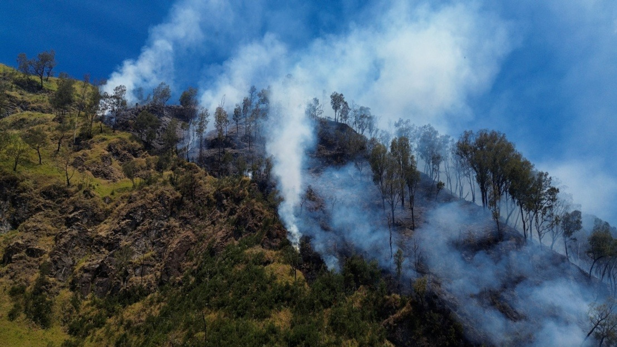 Indonesia Closes Mount Bromo to Visitors as Wildfire Threatens East Java Peak