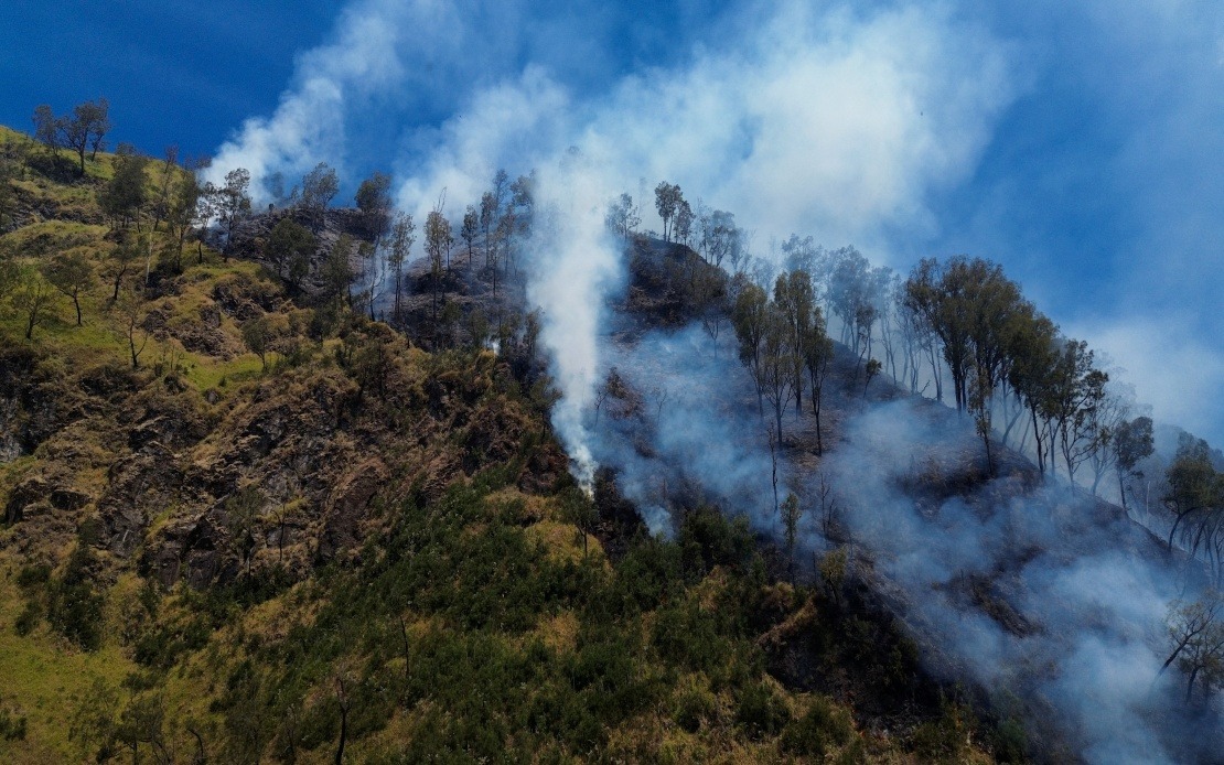 Indonesia Closes Mount Bromo to Visitors as Wildfire Threatens East Java Peak