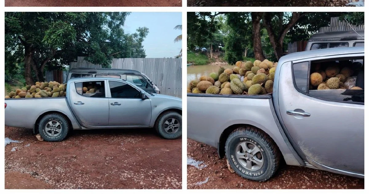 Part-time Driver Arrested with 700kg of Smuggled Durians in Rantau Panjang Bust