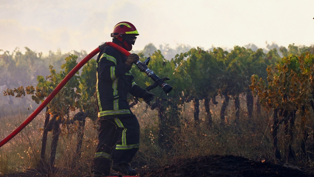 Massive Wildfires Sweep Through French Region, Displacing Hundreds