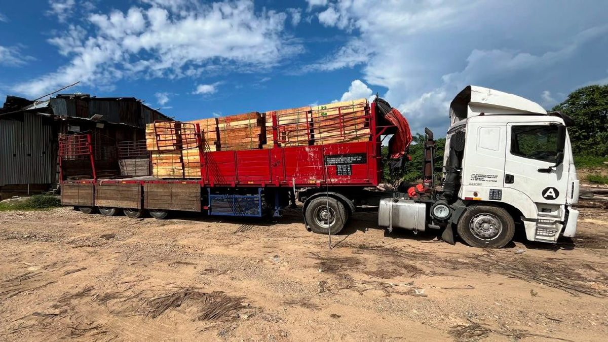 Authorities bust large-scale illegal timber mill, arrest five in Kuala Krai raid