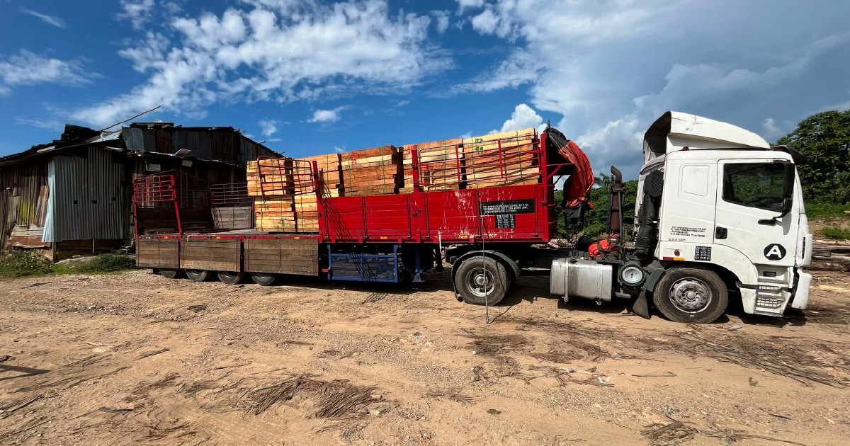Authorities bust large-scale illegal timber mill, arrest five in Kuala Krai raid