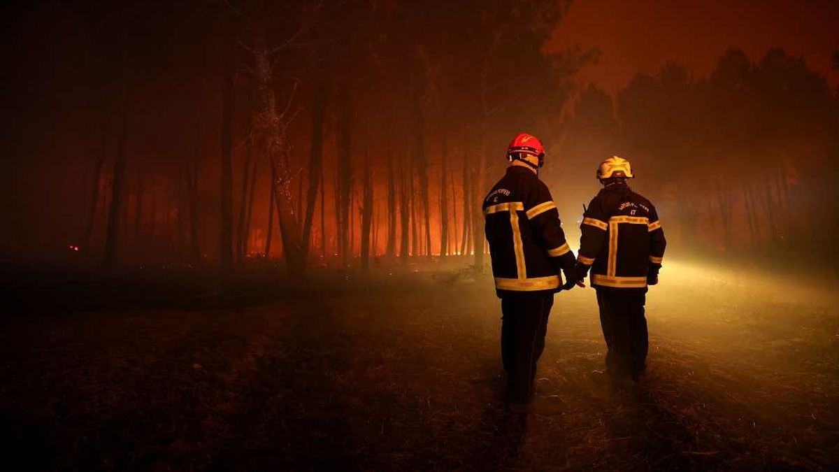 Belgium Grapples With Worst Wildfire on Record as Heat Intensifies Across Europe