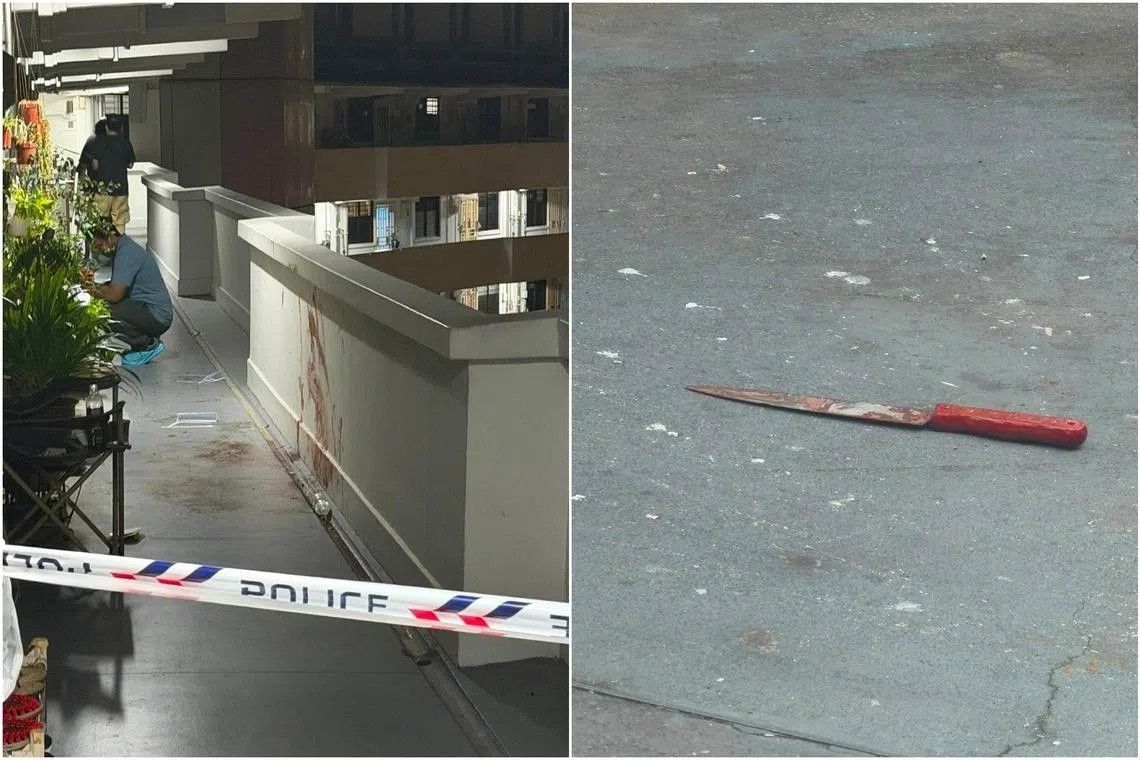 Singapore Man Charged with Murder of Neighbour in Lengkok Bahru Block