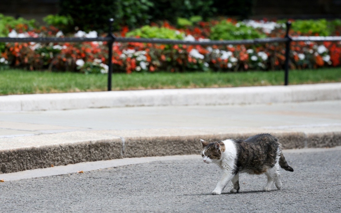 Larry the Cat: A Constant Through Six British Prime Ministers