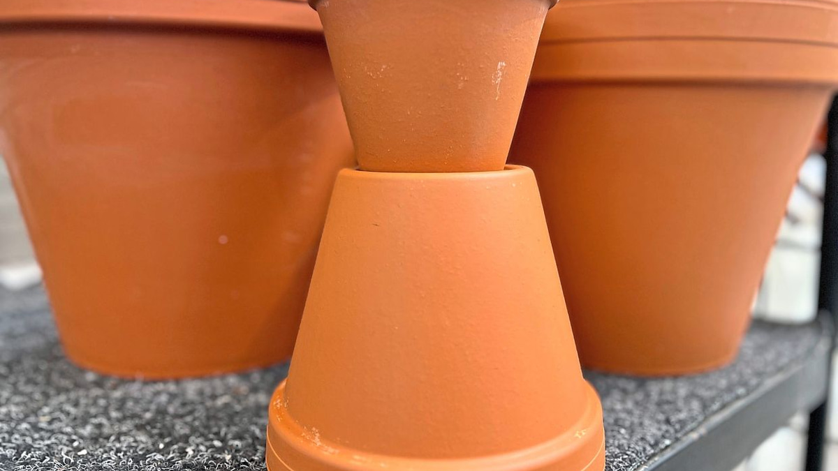 Gardening Without Microplastics: How Malaysian Households Can Protect Soil and Health