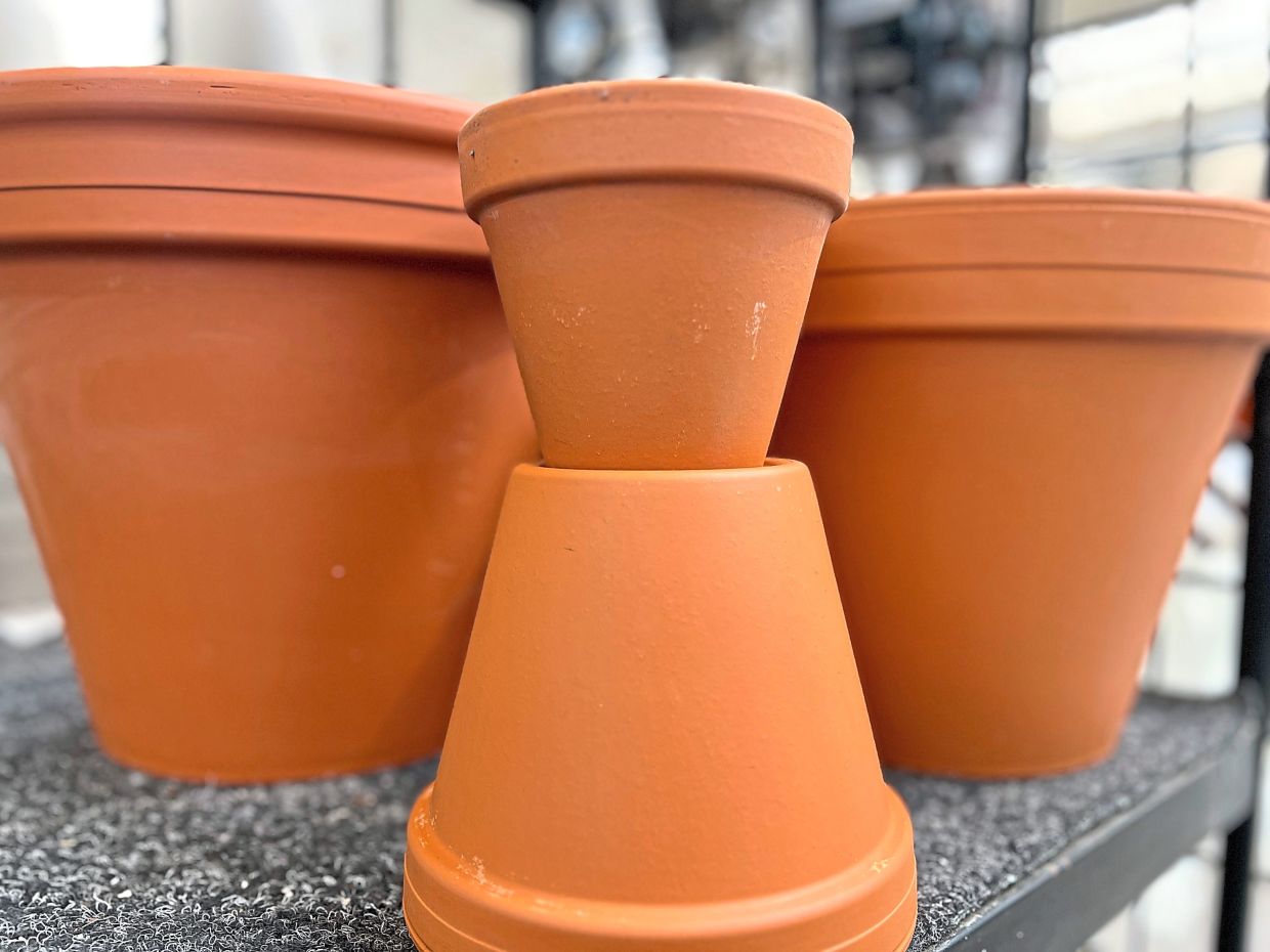 Gardening Without Microplastics: How Malaysian Households Can Protect Soil and Health