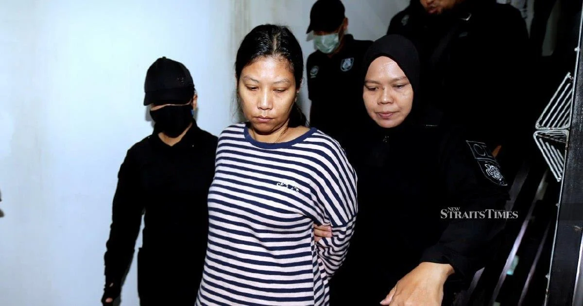 Woman Charged Over Alleged Attack on Perak Sultan to Plead Guilty on July 1