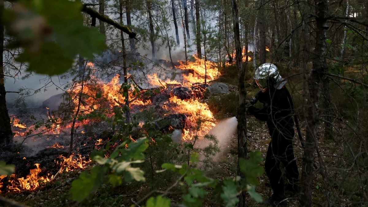 France battles massive wildfire near Paris as two arrested over suspected arson