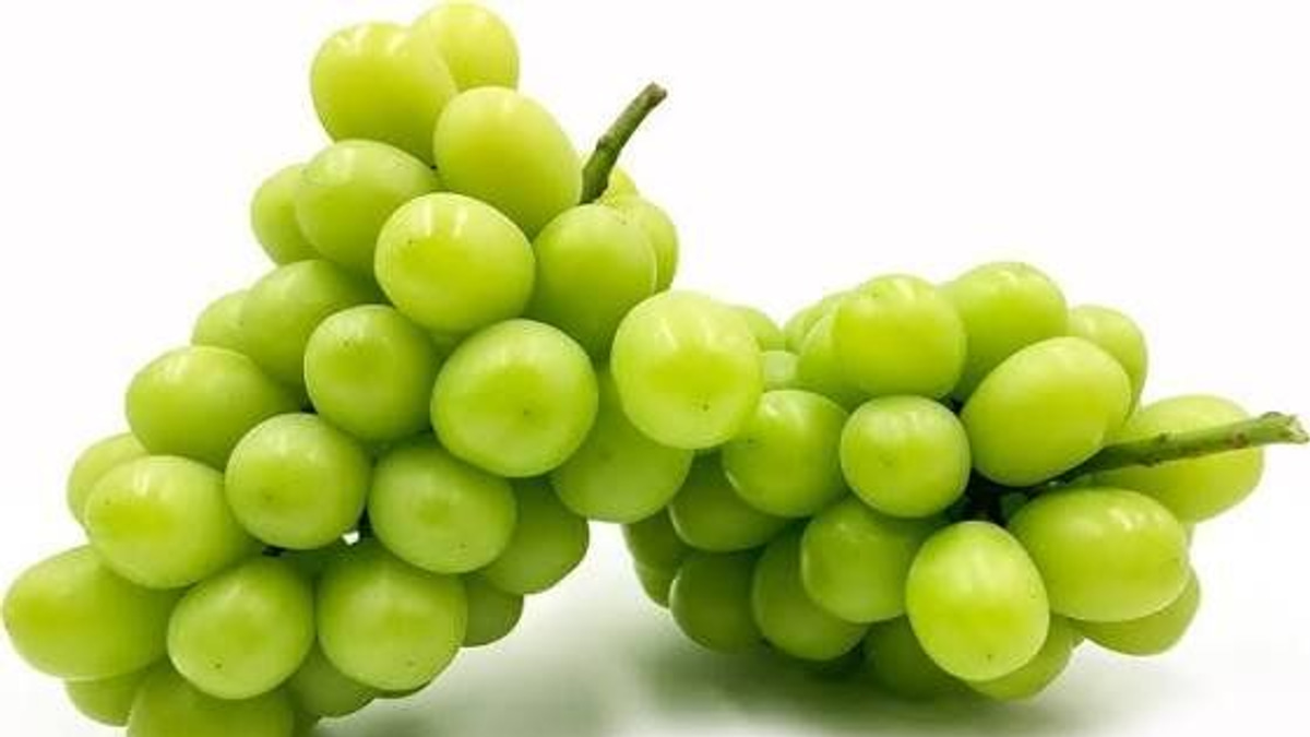 Japanese Man Held Over RM36,000 Grape Heist in Okayama