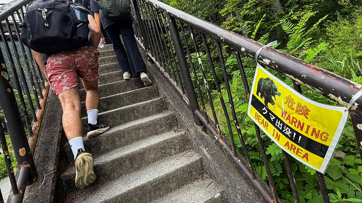 Japan Deploys Network of Wildlife Cameras to Combat Surging Bear Attacks