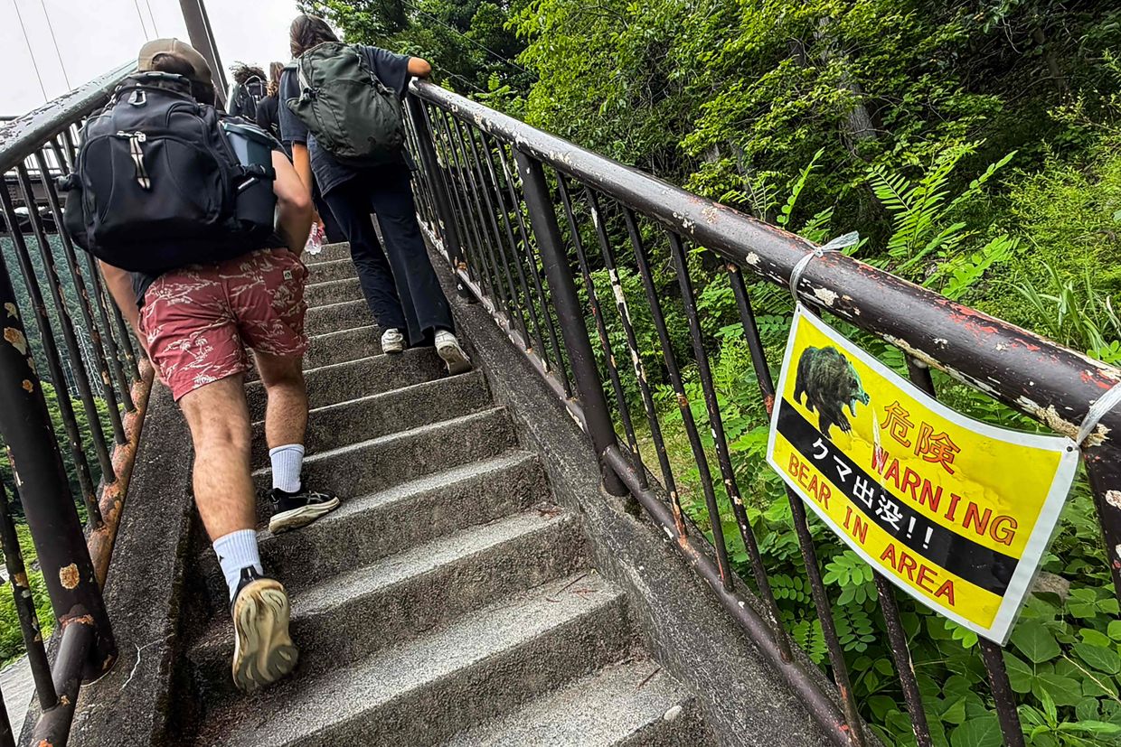 Japan Deploys Network of Wildlife Cameras to Combat Surging Bear Attacks