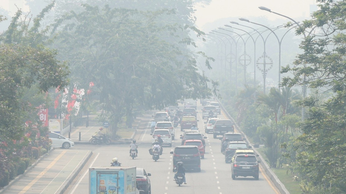 Indonesia's Air Quality Crisis: Central Kalimantan Pollution Index Soars to Hazardous 573
