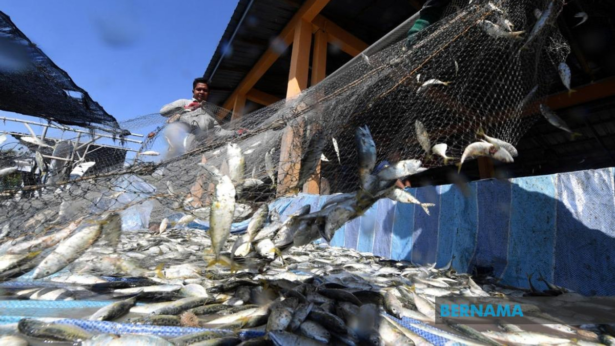 Government Invests RM10 Million in Fishermen Housing Nationwide