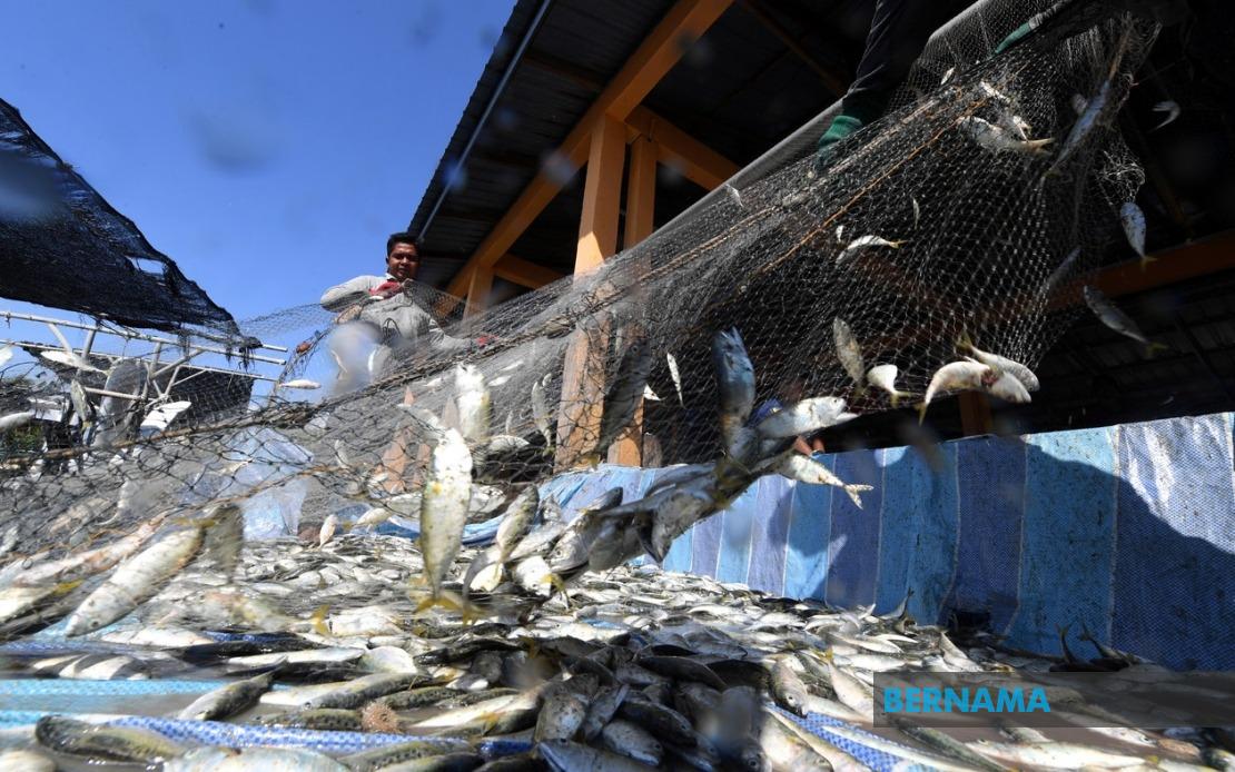 Government Invests RM10 Million in Fishermen Housing Nationwide