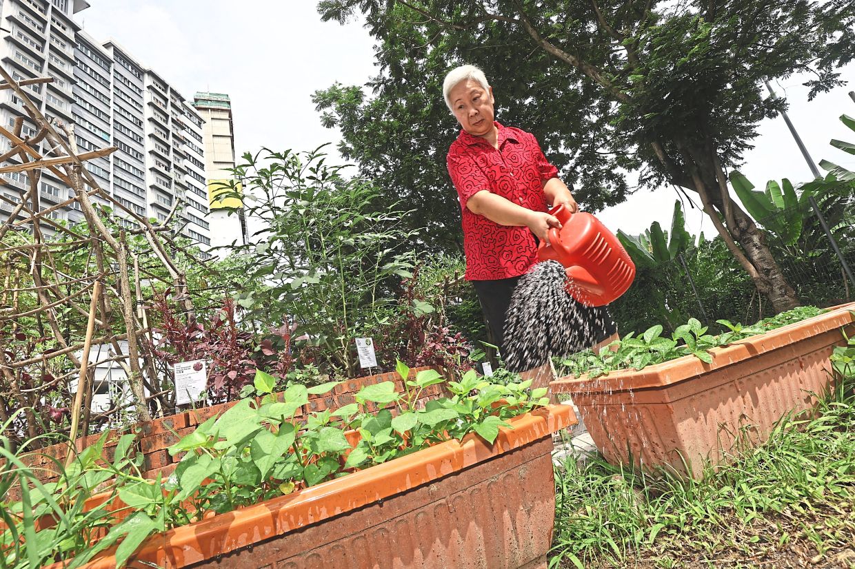 From Wasteland to Wellness: How Kuala Lumpur's 1Razak Mansion Food Forest is Transforming Senior Lives