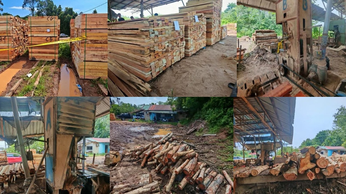 Four arrested as authorities seize timber and equipment worth RM600,000 in major Kelantan crackdown