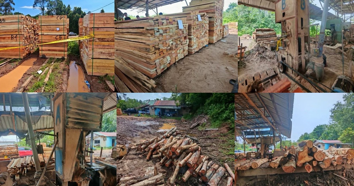 Four arrested as authorities seize timber and equipment worth RM600,000 in major Kelantan crackdown