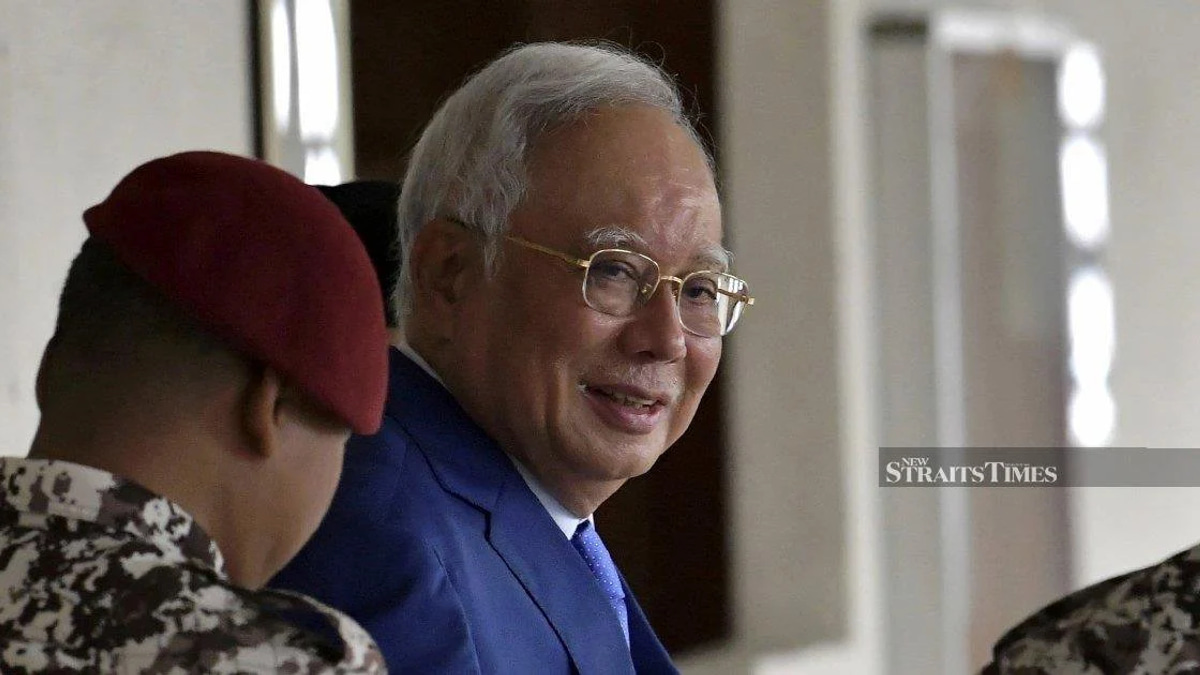 DAP accused of double standards over Najib pardon stance, claims former Johor assemblywoman