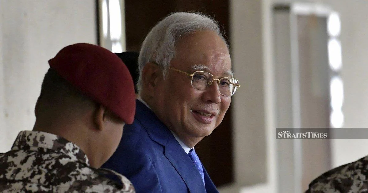 DAP accused of double standards over Najib pardon stance, claims former Johor assemblywoman