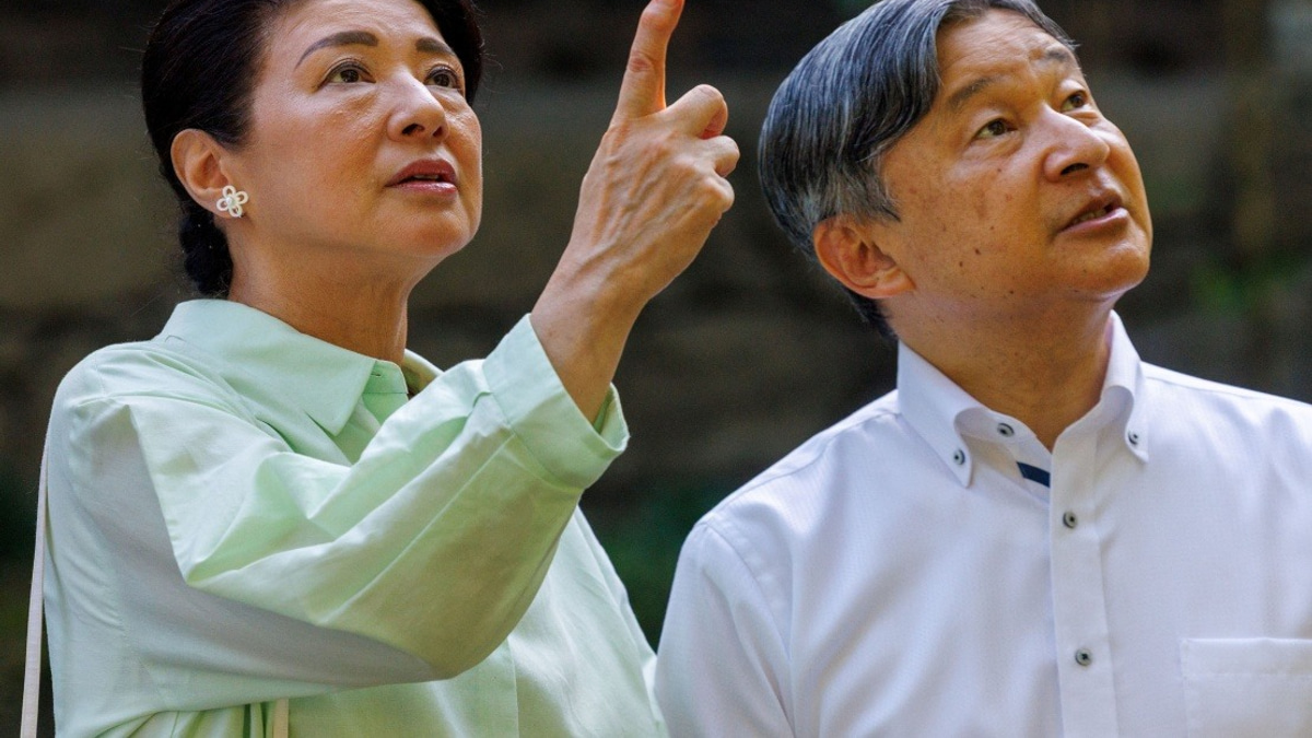 Japan Moves to Stabilize Imperial Succession with Adoption Reforms